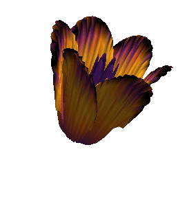 cdf-lec-0_1.gif