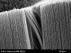 nanocssznyeg_small.jpg