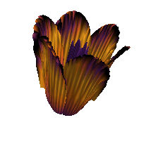 ea_1.gif